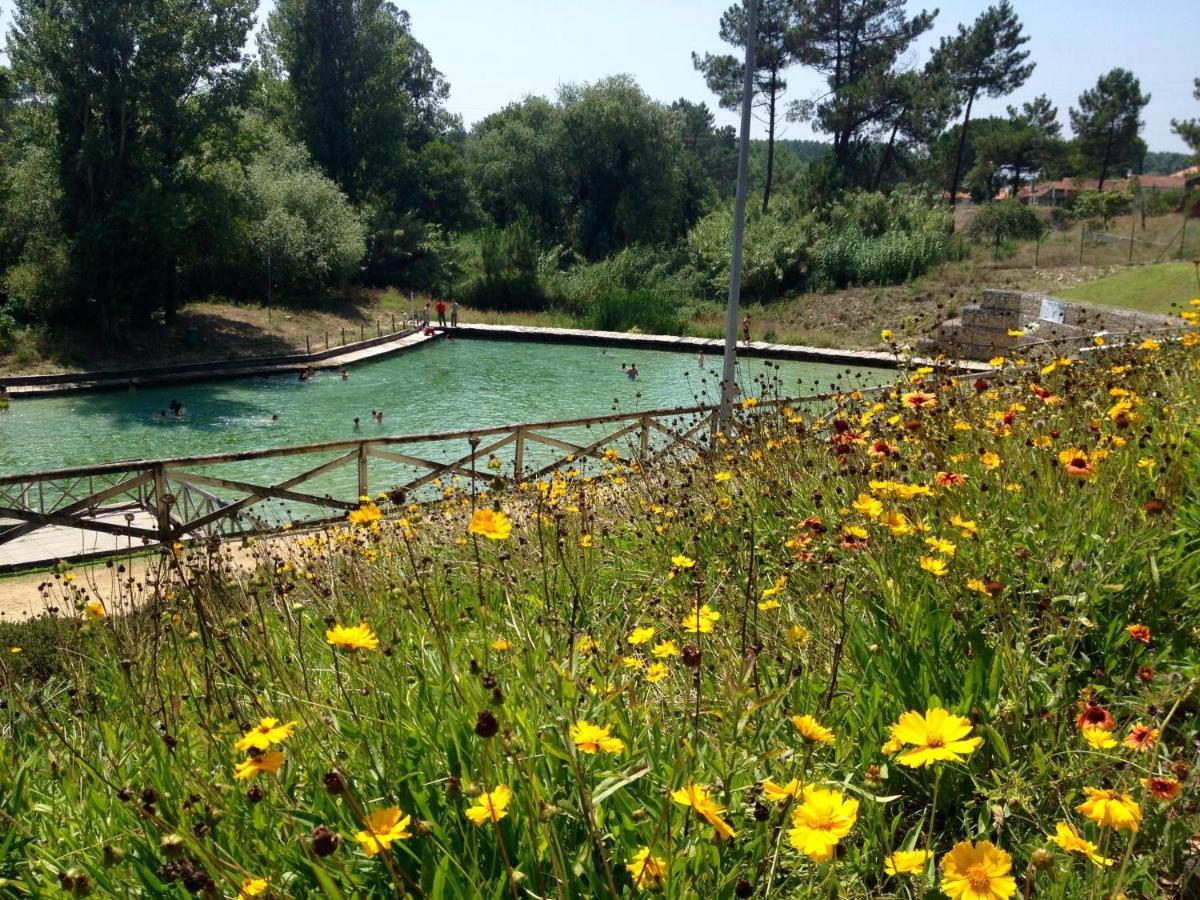 Bico Das Flores Praia de Mira Esterno foto